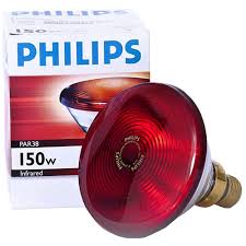 Lâmpada Infravermelho 150W Philips